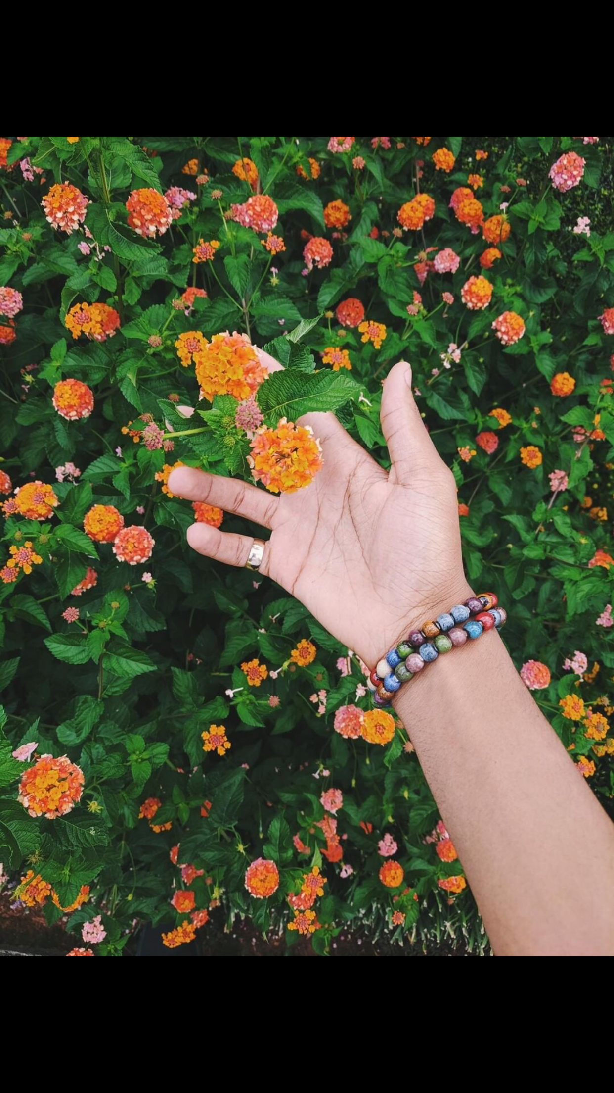 Multi-Color bracelet set